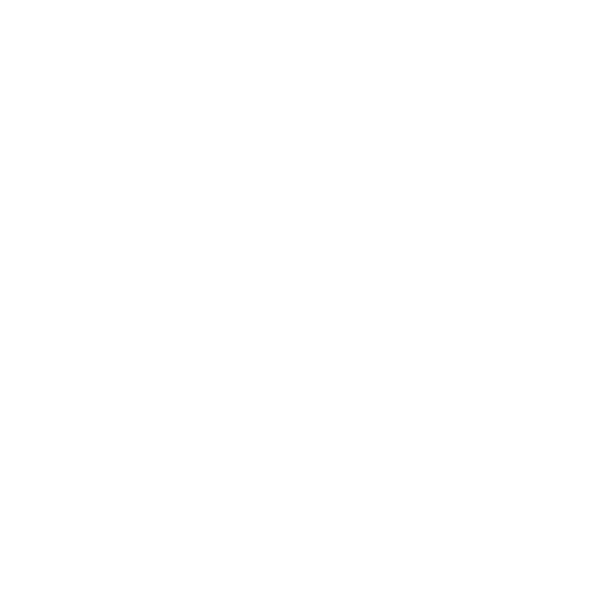 logo-DS